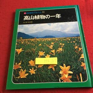 Y13-207 科学のアルバム31 高山植物の一生 白旗史朗 あかね書房 1979年発行 ふつうの植物との違い 高さ 場所 かわりもの 生態 など