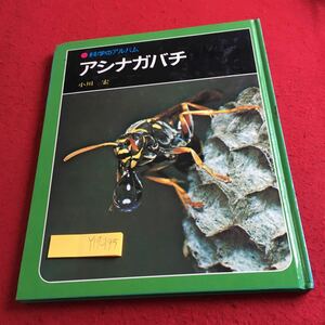 Y17-195 科学のアルバム アシナガバチ 小川宏 あかね書房 1981年発行 生態 巣づくり 産卵 誕生 くらし スズメバチ ミツバチ ハバチ など