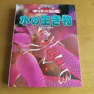 ☆学研の図鑑『水の生き物』(未使用)