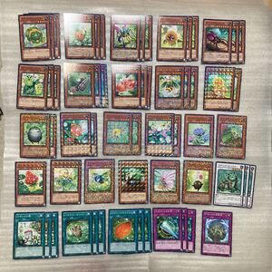 遊戯王 ナチュル デッキの値段と価格推移は 10件の売買情報を集計した遊戯王 ナチュル デッキの価格や価値の推移データを公開 遊戯王 ナチュル デッキの値段と価格推移は 10件の売買情報を集計した遊戯王 ナチュル デッキの価格や価値の推移データを公開