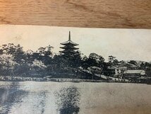 ■送料無料■ 奈良県 猿沢池 興福寺 五重塔 奈良公園 風景 景色 絵葉書 写真 古写真 印刷物/くNAら/PP-769_画像2