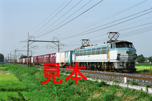 鉄道写真、35ミリネガデータ、144880590004、EF66-9＋貨物、JR東北本線、東大宮〜蓮田、2005.09.03、（3104×2058）