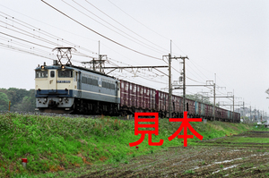 鉄道写真、35ミリネガデータ、146281330009、EF65-1062＋貨物、JR東北本線、蓮田〜東大宮、2006.04.27、（2860×1896）