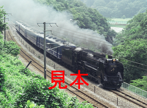 鉄道写真、645ネガデータ、144780580009、D51-498＋12系（団臨SLメイト号）、JR上越線、上牧〜水上、2005.08.18、（4591×3362）