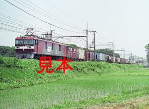 鉄道写真、645ネガデータ、146981840007、EH500-4＋貨物、JR東北本線、蓮田〜東大宮、2006.05.25、（4591×3362）