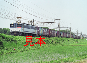 鉄道写真、645ネガデータ、146981840011、EF65-1091＋貨物、JR東北本線、蓮田〜東大宮、2006.05.25、（4463×3268）