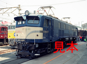 鉄道写真645ネガデータ、125514230005、EF58-89、大宮工場、2001.05.12、（4464×3269）