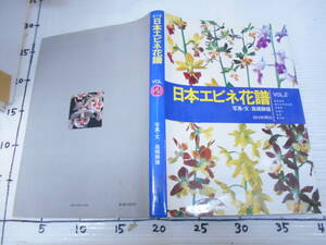 日本エビネ花譜 VOL2の1冊 キエビネ キリシマエビネ タカネ ヒゼン ヒゴ サツマ 自生地 交雑種 全4巻の中の2巻です