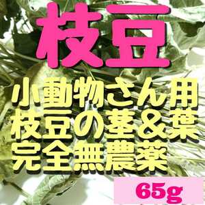 65g.完全無農薬家庭菜園、枝豆の茎と葉っぱセット乾燥小枝デグーハムスターさん