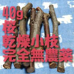  Sakura. twig *40g7ps.@ degree, small bird,...,morumoto, gnawing wood, dry twig set 