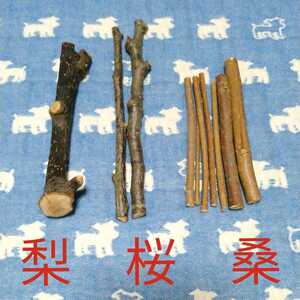 ④ Sakura, pear, mulberry. twig! bird hamster squirrel small animals teg- gnawing wood, dry twig set 