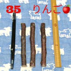 35,20g degree 3ps.@,teg- hamster gnawing wood, apple. tree. dry twig set 