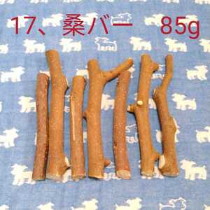 17, mulberry. tree 85g7ps.@, bird teg- ferret small animals gnawing wood, mulberry. tree. dry twig set 