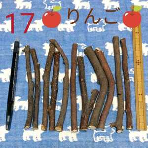 17,60g degree 1 1 pcs,teg- hamster gnawing wood, apple. tree. dry twig set 