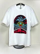 VOLCOM ボルコム AF212212WHT メンズ Lサイズ 半袖Tシャツ グラフィックティー プリント Tee ホワイト色 ヴォルコム 新品 即決 送料無料_画像1