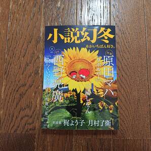 小説幻冬 本がいちばん好き。2021年6月号 / 西野亮廣、原田マハ、月村了衛、梶よう子、はらだみずき、藤岡陽子、澤田瞳子、今野敏、等