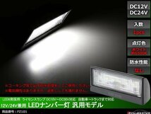 12V/24V兼用 LED ナンバー灯 汎用モデル LED6発 ホワイト FZ101_画像1