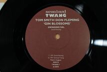 a33/7”/Tom Smith , Don Fleming - Gin Blossoms_画像4