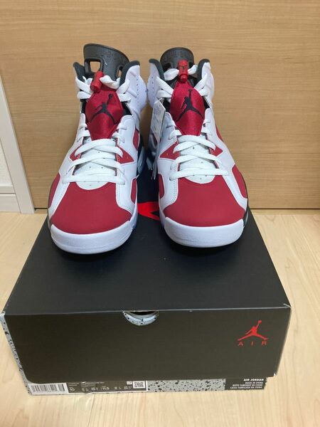 タイムセール　28cm AIRJORDAN6 CARMINE エアジョーダン 6 カーマイン