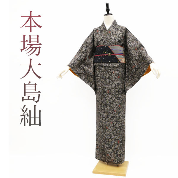 黒地の染め大島紬の付け下げ 着物浴衣/水着 | hak.unideb.hu