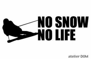 NO SNOW NO LIFE ステッカー スキー4 (Sサイズ) アルペン 滑降 大回転 回転 ダウンヒル スラローム スキー SKI シール