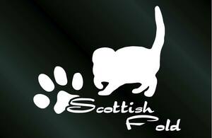  little largish cat. sticker Scottish folding B type cat seal sticker 