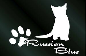  little largish cat. sticker Russia n blue B type cat seal sticker 