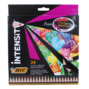 送料無料メール便 色鉛筆 Intensity 24色 Bicジャパン ITS-WDCCPPK24/1325ｘ３個セット/卸