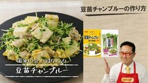 送料無料メール便 豆苗チャンプルーの素 20g ２人前 鶏がら醤油味 ガーリックの旨み 日本食研/8228ｘ１袋_画像2