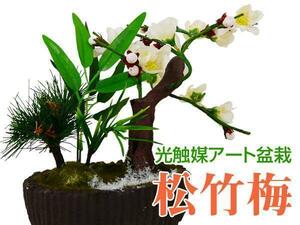  free shipping photocatalyst art flower bonsai pine bamboo plum 