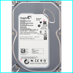 Seagate ST250DM000-1BD141-501 DP/N 0YVMKX 3.5インチ SATA600 250GB 275回 35846時間