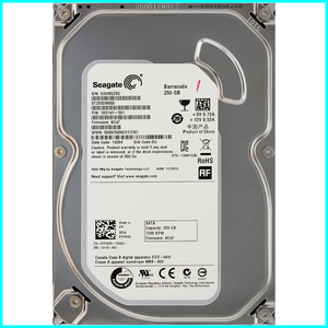 Seagate ST250DM000-1BD141-501 DP/N 0YVMKX 3.5インチ SATA600 250GB 3417回 9067時間