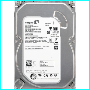 Seagate ST250DM000-1BD141-501 DP/N 0YVMKX 3.5インチ SATA600 250GB 2183回 41438時間