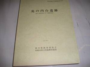 ★値下★１９９３年『免の内遺跡』　栃木県埋蔵文化財調査報告書第１３４集