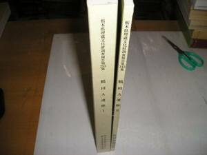 ★値下★２００１年『鶴田Ａ遺跡Ⅰ＆Ⅱ計２冊』　栃木県埋蔵文化財調査報告第２５３・２４３集