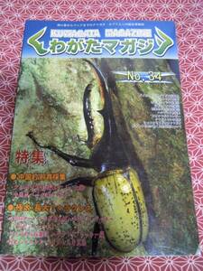 ★くわがたマガジン　No.34★クワガタムシの総合情報誌★絶版・特集・中国的飼育採集、極太長大ヘラクレス★オオクワ・外国産クワガタ