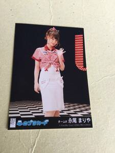 AKB48 心のプラカード 劇場盤封入写真　チームK 永尾 まりや 他にも出品中 説明文必読