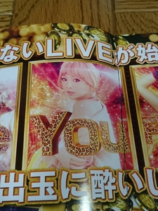 浜崎あゆみ　ayumi hamasaki　LIVE in CASINO　パチンコ　ガイドブック　小冊子　遊技カタログ　新品　未使用　非売品　希少品　入手困難