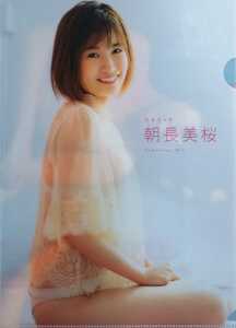 morning length beautiful Sakura (B5) clear file including in a package correspondence possible 