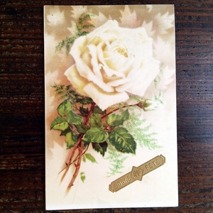 花(12)F33◆薔薇 アンティークポストカード フランス ドイツ ベルギー イタリア スイス イギリス ビンテージ 外国絵葉書