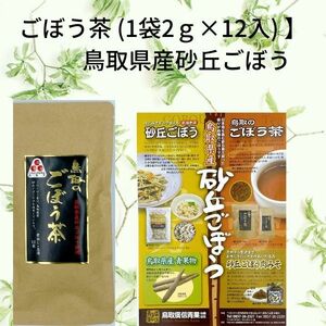 １　ごぼう茶 鳥取砂丘畑でゴボウ栽培100%使用 1パック 2g×12袋 砂丘ごぼう茶 鳥取県ふるさと認証食品 牛蒡茶 ゴボウ