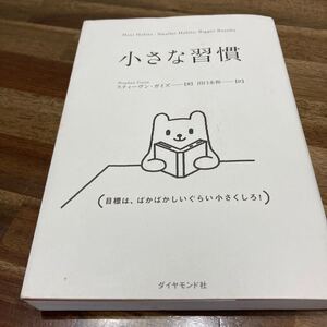 小さな習慣/スティーヴンガイズ/田口未和