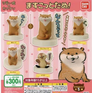 新品・即決▼可愛い嘘のカワウソ　ますこっとだぬ！　全5種フルコンプ▼バンダイ【送料140円 追跡有・匿名配送230円～】ガチャ