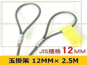 JIS 玉掛策【１２ｍｍ×2.5ｍ】10本set 国内加工４分 台付にも””３万円以上送料無料””新品（ロック・鉛止め・ワイヤロープ・スリング）