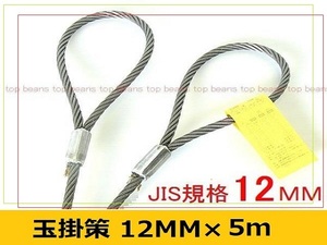 JIS 玉掛策【１２ｍｍ×5ｍ】10本set 国内加工４分 台付にも””３万円以上送料無料””新品(ロック・鉛止め・ワイヤロープ・スリング）