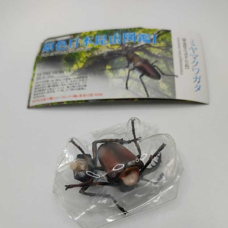 ヤフオク! -原色日本昆虫図鑑の中古品・新品・未使用品一覧