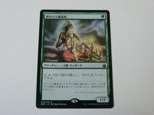 MTG 美品 【燭台の大魔術師】 （レア） BBD 日 1枚迄