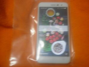 ASUS ZenFone 3 ASUSーZ017DA USED