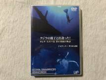 DVD　　『クジラの親子と出逢った！　タヒチ・ルルツ島　碧の楽園の物語』　　 　ナビゲーター：野久保直樹　　　VPBF-13248_画像1