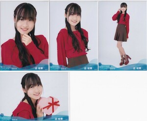 STU48 迫姫華 月別 netshop 生写真 2022 2月 2022.02 4種コンプ